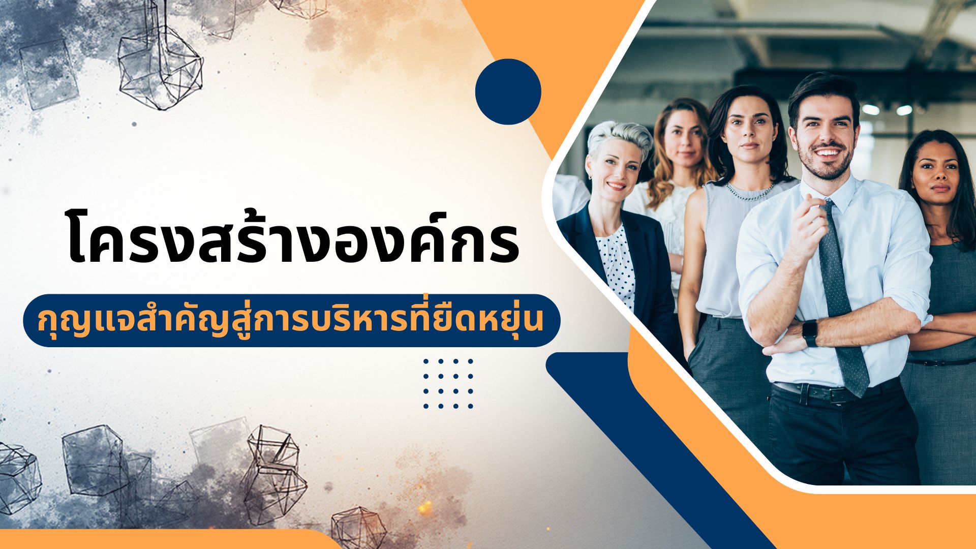 โครงสร้างองค์กร